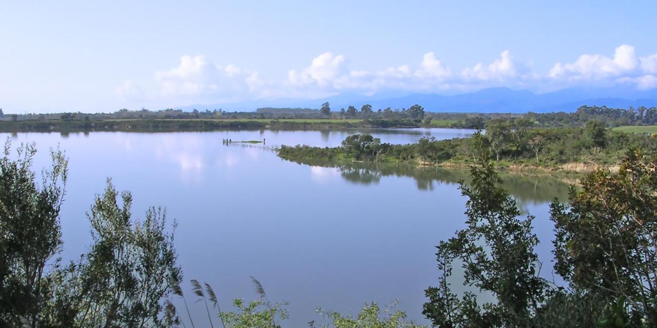 Вилла Locations "Chezchristine Aleria" A Aleria Экстерьер фото